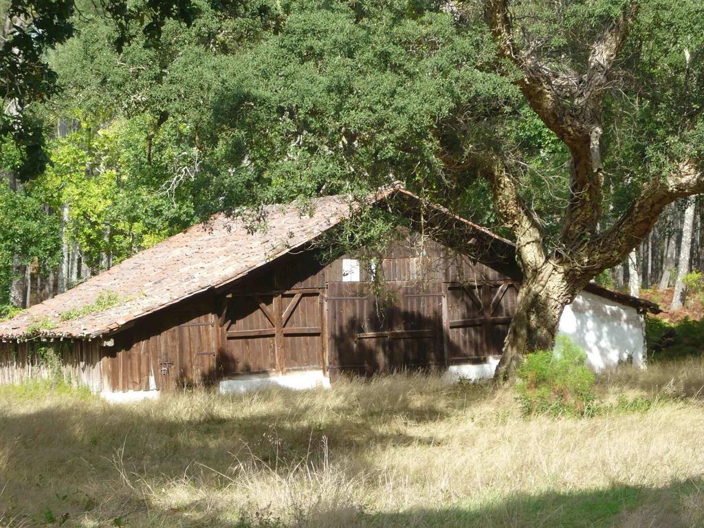 Appartements A Cote Lac Marin De Port D'Albret Vieux-Boucau-les-Bains Buitenkant foto